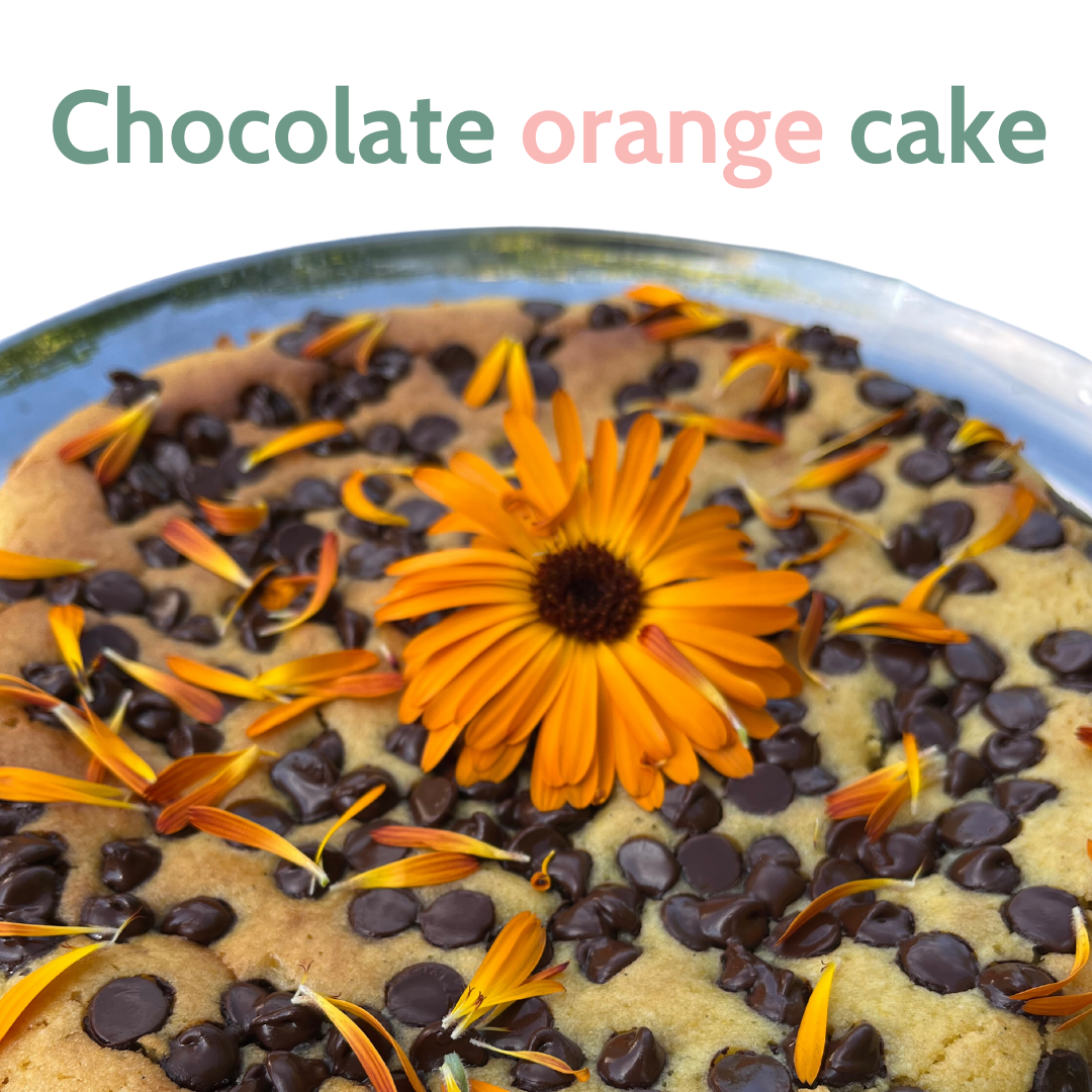 Chocolate chip orange cake.