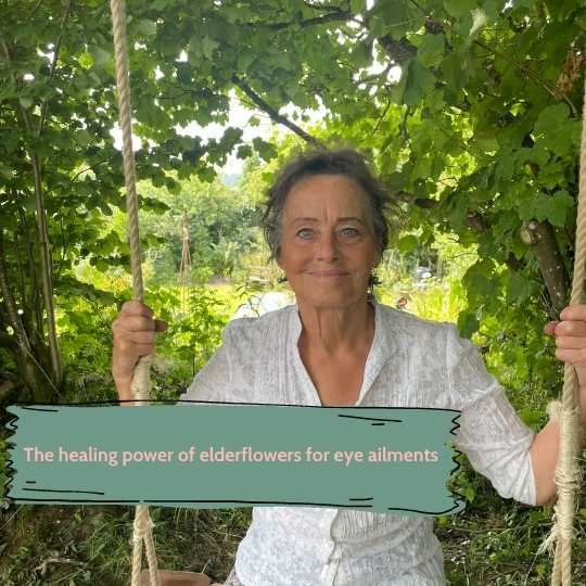 The Healing Power of Elderflowers for Eye Ailments